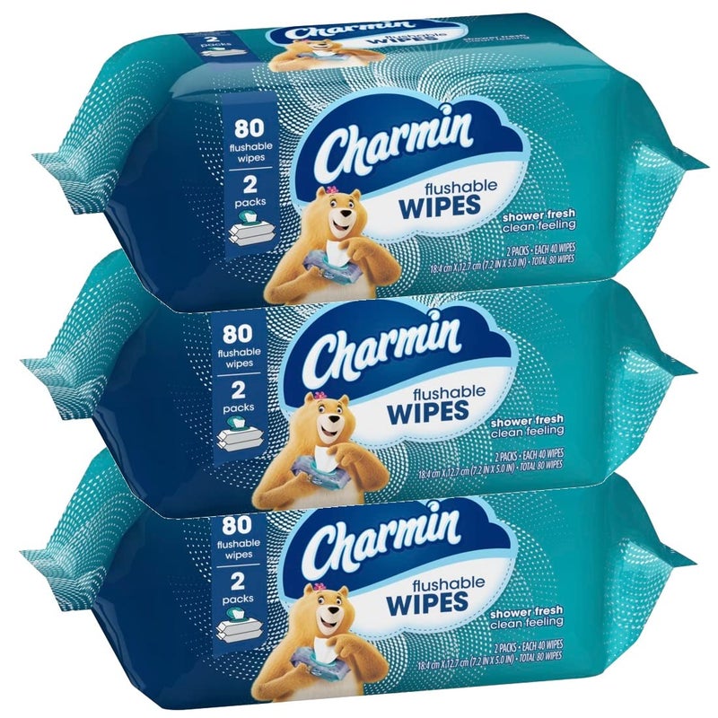 Charmin Freshmates Flushable Wipes (Pack of 3) 80ct - Image 2